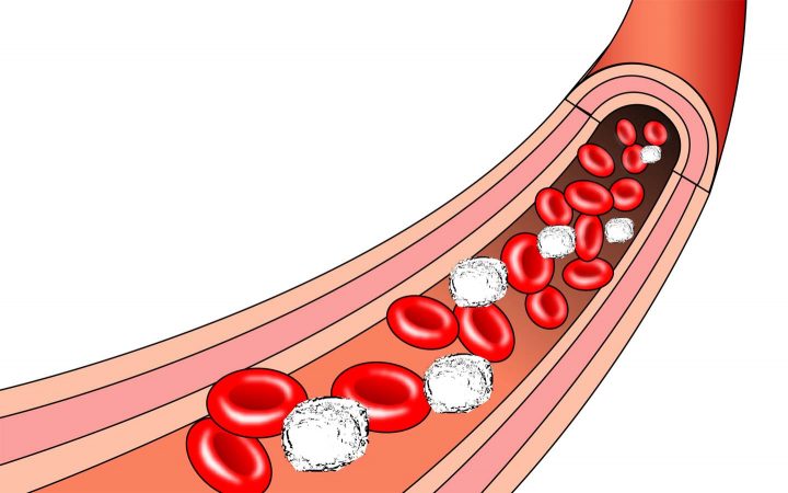 Globulos vermelhos no corrente sanguíneos